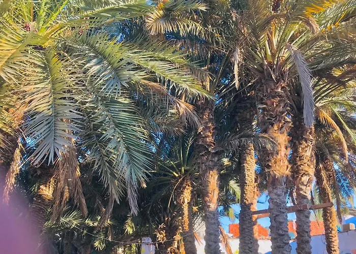 Palm House Szálloda Dahab